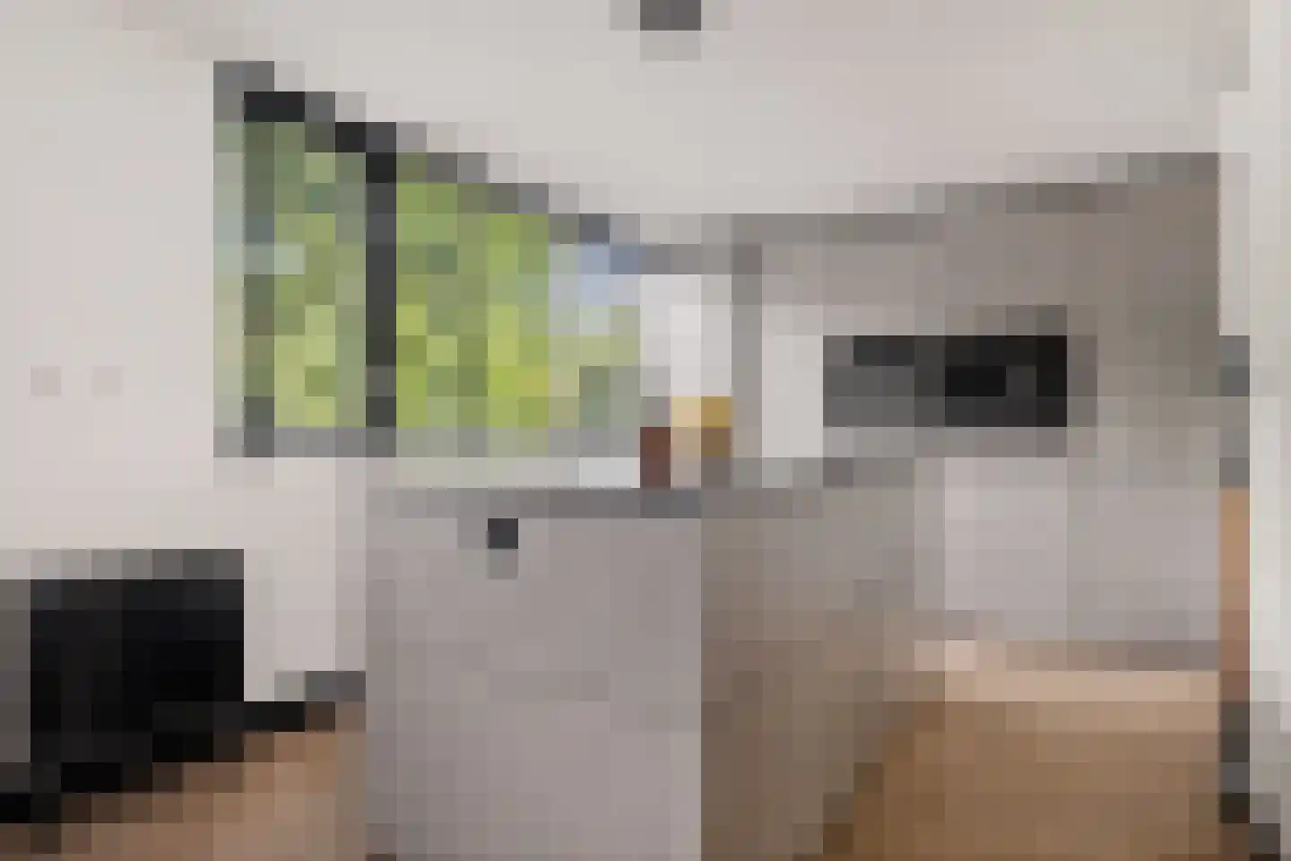 Beekweg 8 Maarssen thumbnail 10