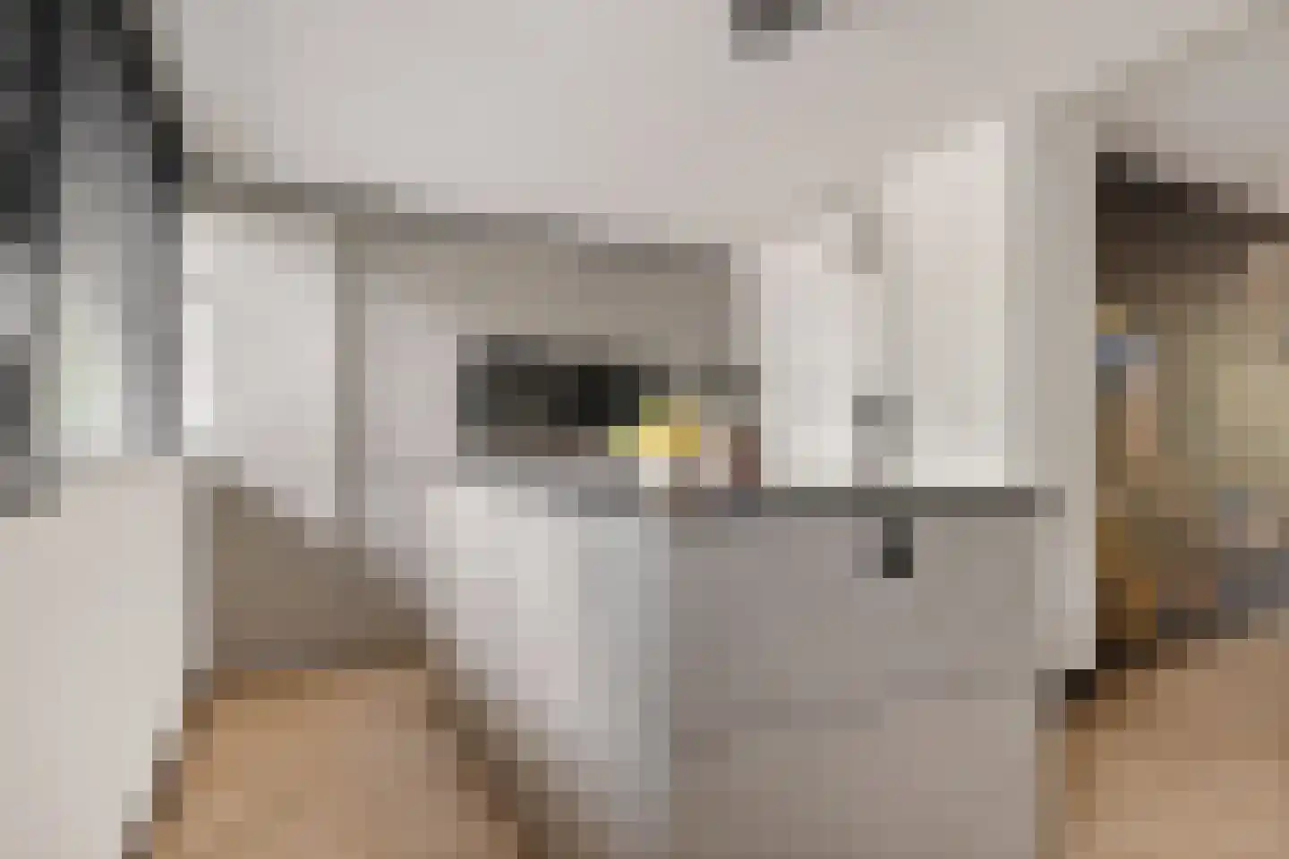 Beekweg 8 Maarssen thumbnail 11