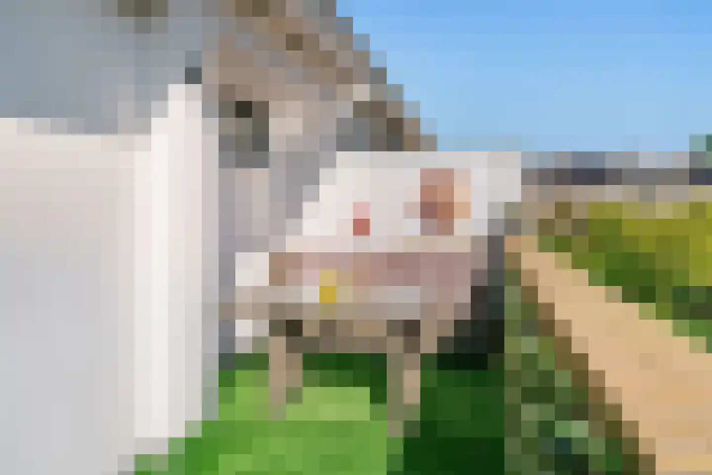 Beekweg 8 Maarssen thumbnail 18