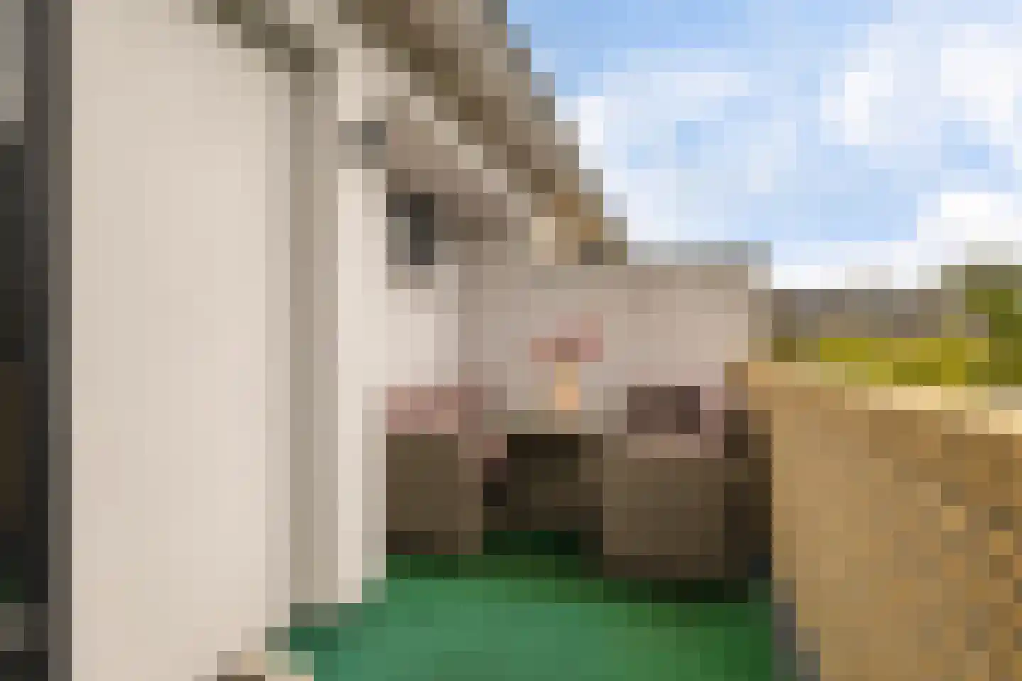 Beekweg 8 Maarssen thumbnail 20
