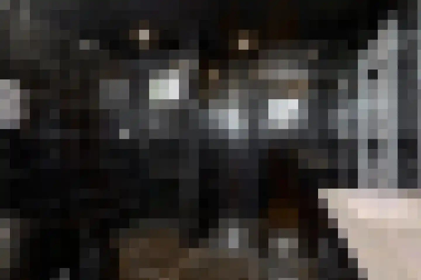 Beekweg 8 Maarssen thumbnail 22