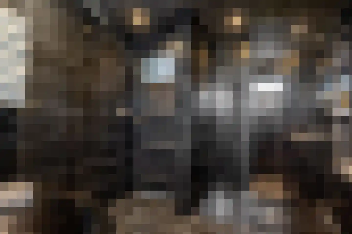 Beekweg 8 Maarssen thumbnail 22