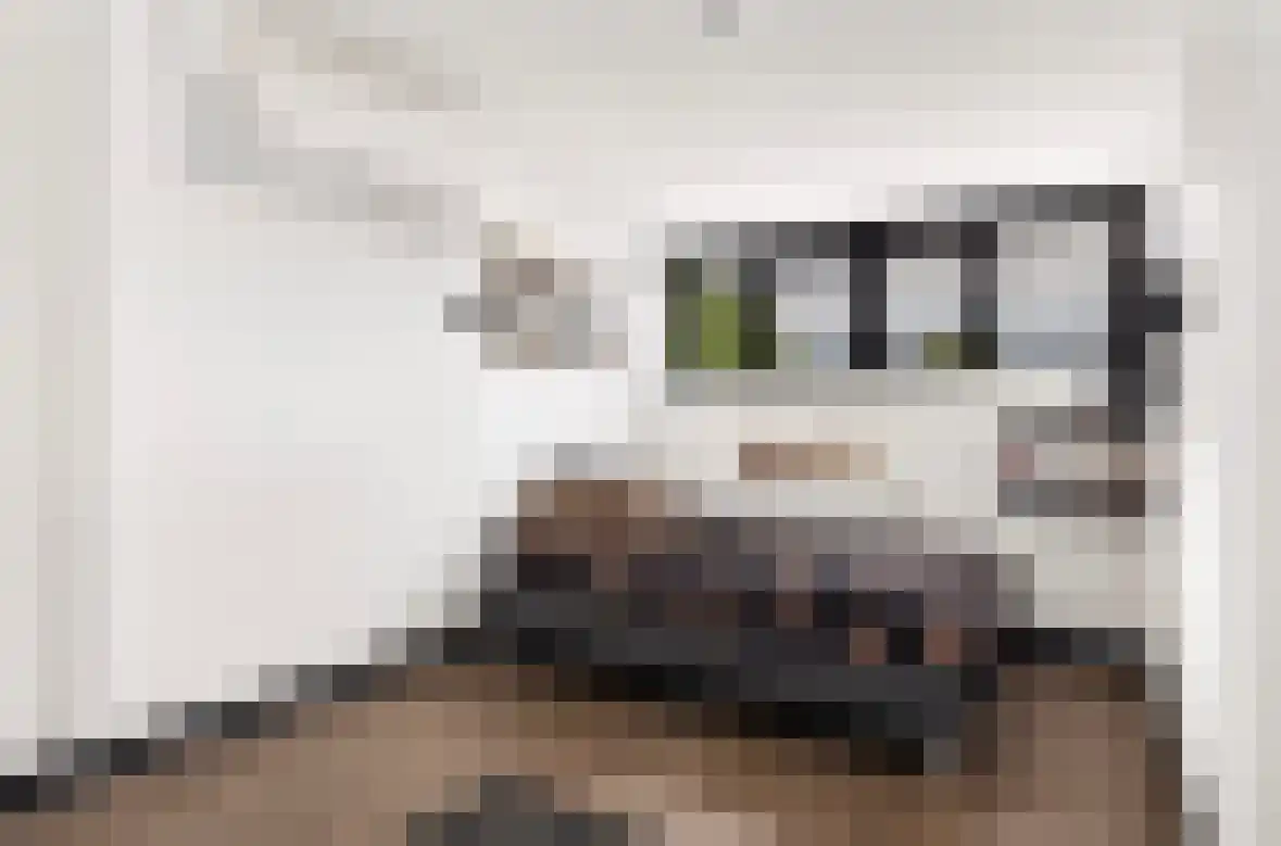 Beekweg 8 Maarssen thumbnail 25