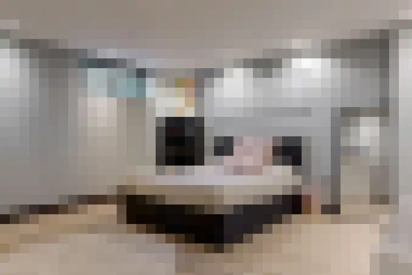 Beekweg 8 Maarssen thumbnail 28