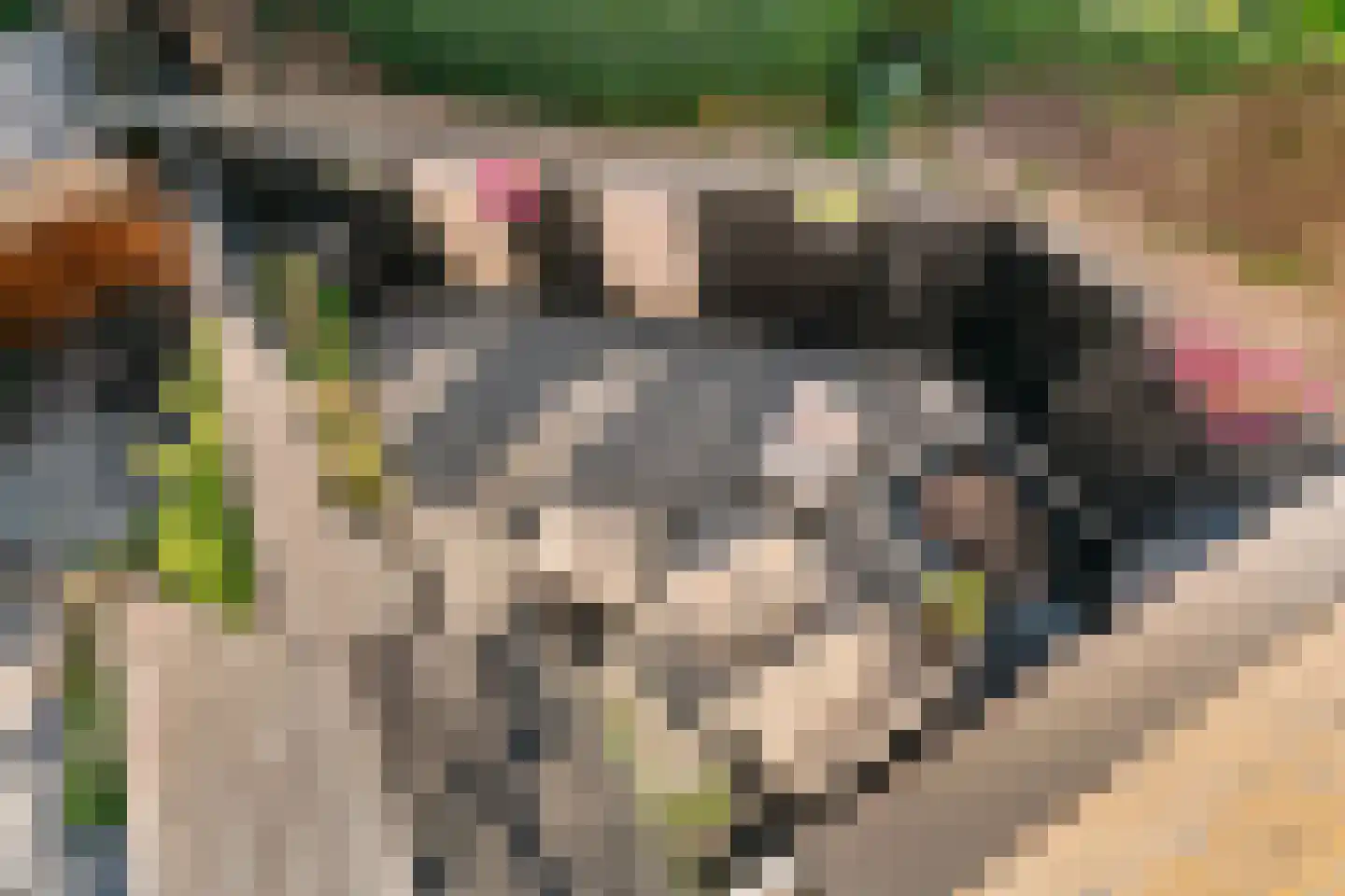 Beekweg 8 Maarssen thumbnail 29