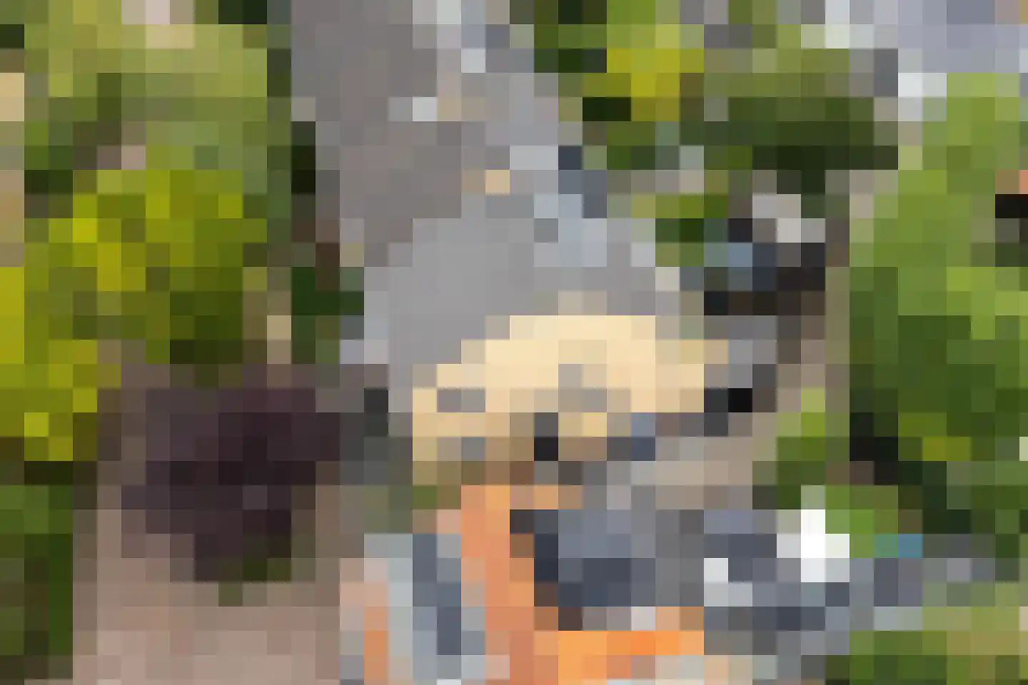 Beekweg 8 Maarssen thumbnail 32