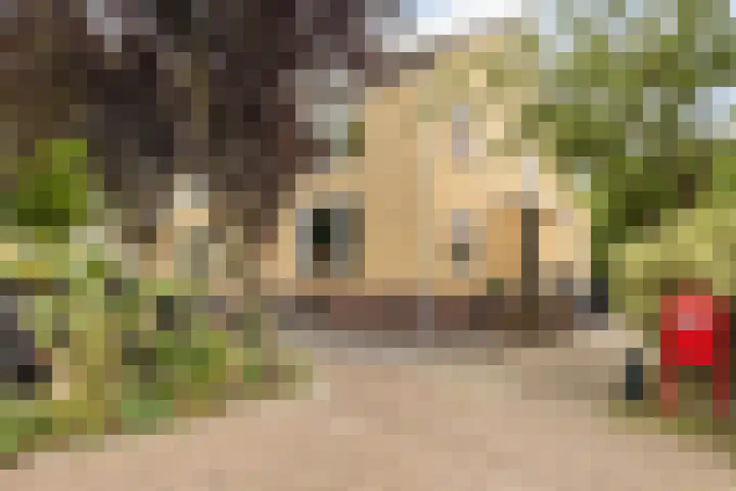 Beekweg 8 Maarssen thumbnail 35