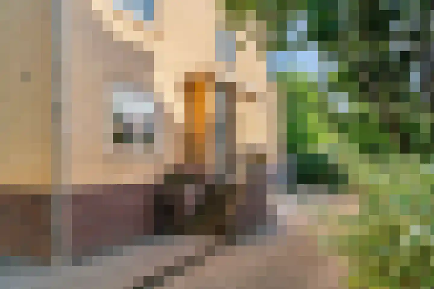 Beekweg 8 Maarssen thumbnail 4