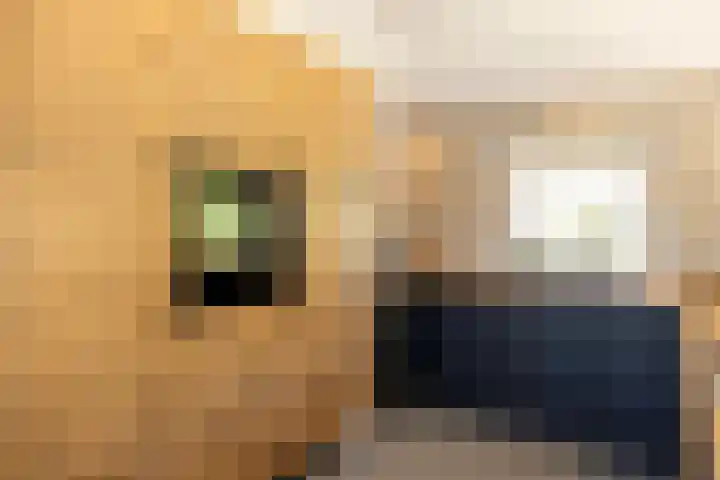 Beekweg 85 Hulshorst thumbnail 18