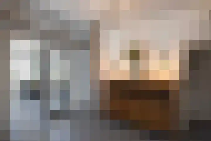Beekweg 85 Hulshorst thumbnail 19