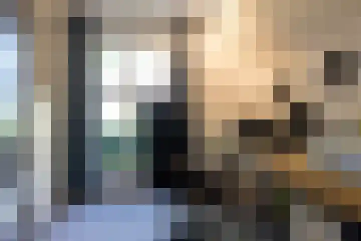 Beekweg 85 Hulshorst thumbnail 29