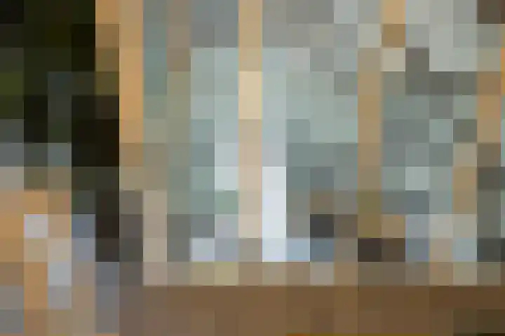 Beekweg 85 Hulshorst thumbnail 37