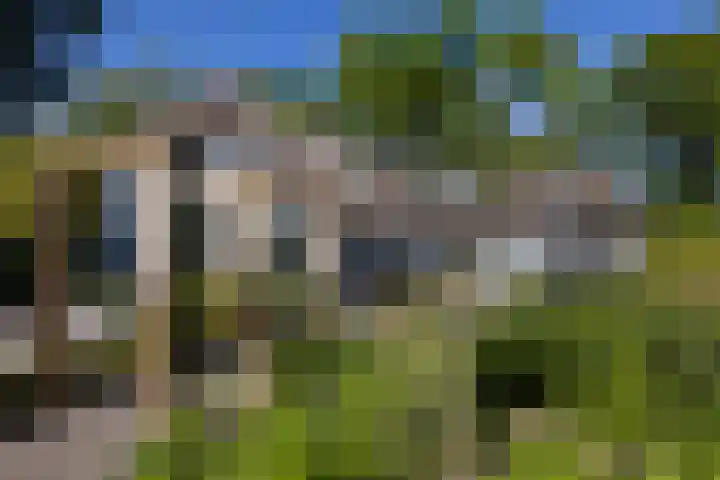 Beekweg 85 Hulshorst thumbnail 4