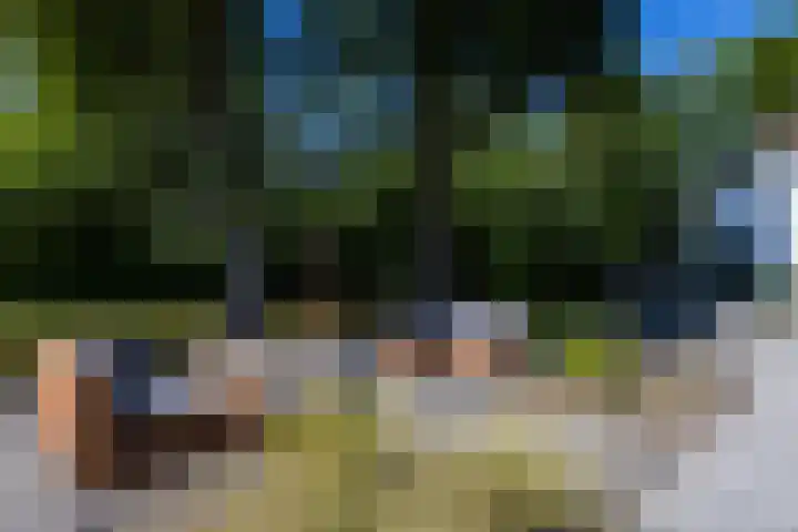 Beekweg 85 Hulshorst thumbnail 44