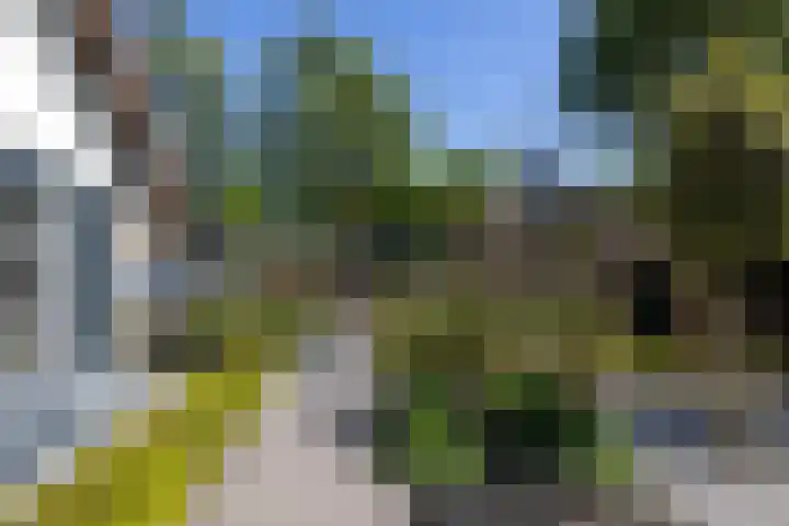 Beekweg 85 Hulshorst thumbnail 47
