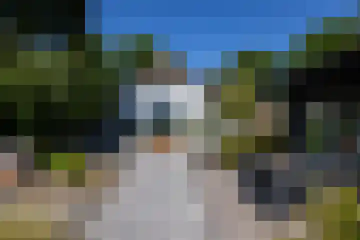 Beekweg 85 Hulshorst thumbnail 5