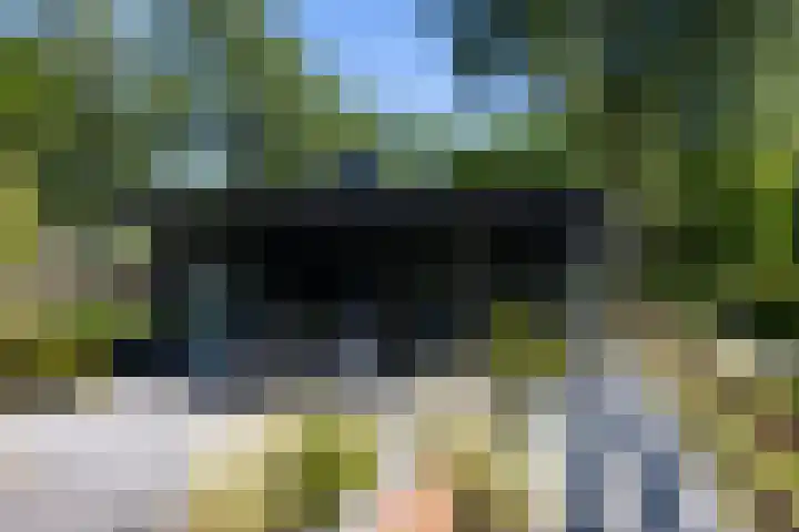 Beekweg 85 Hulshorst thumbnail 50