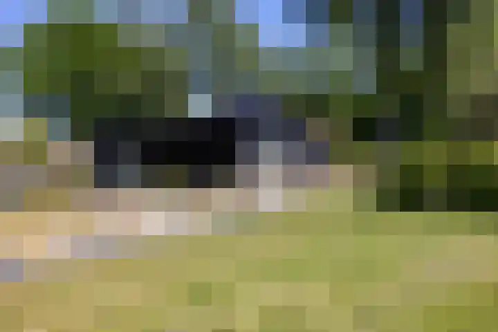 Beekweg 85 Hulshorst thumbnail 55