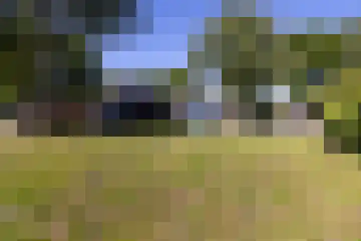 Beekweg 85 Hulshorst thumbnail 59