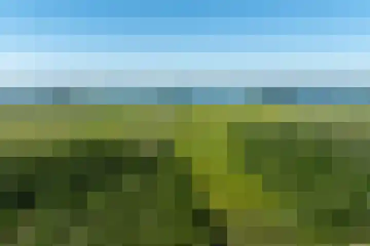 Beekweg 85 Hulshorst thumbnail 6