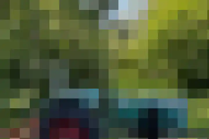 Beekweg 85 Hulshorst thumbnail 65