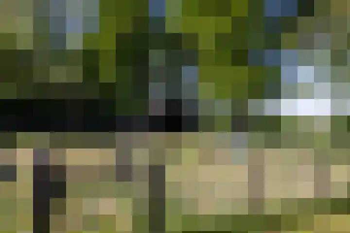 Beekweg 85 Hulshorst thumbnail 69