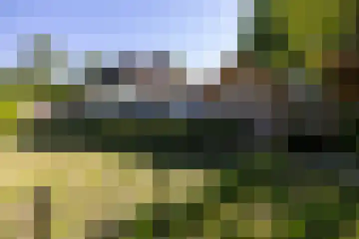 Beekweg 85 Hulshorst thumbnail 71