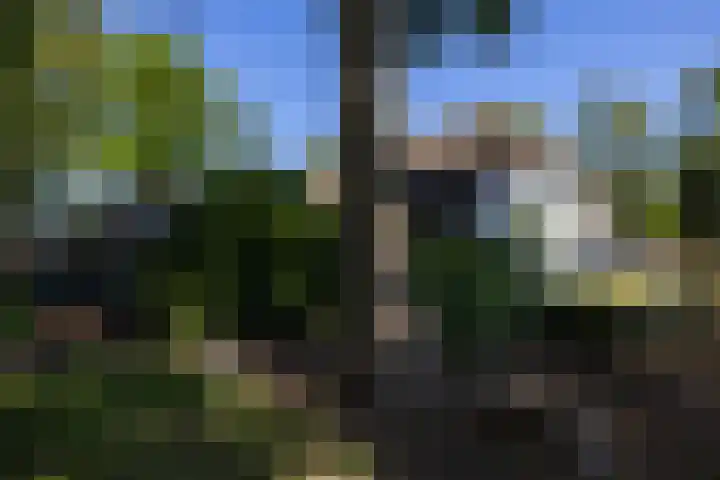 Beekweg 85 Hulshorst thumbnail 75