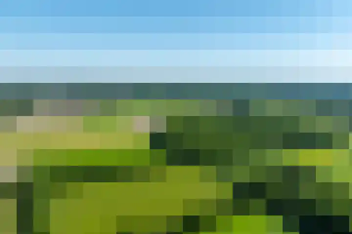 Beekweg 85 Hulshorst thumbnail 82
