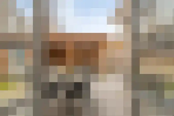 Beekweide 13 a Renswoude thumbnail 27