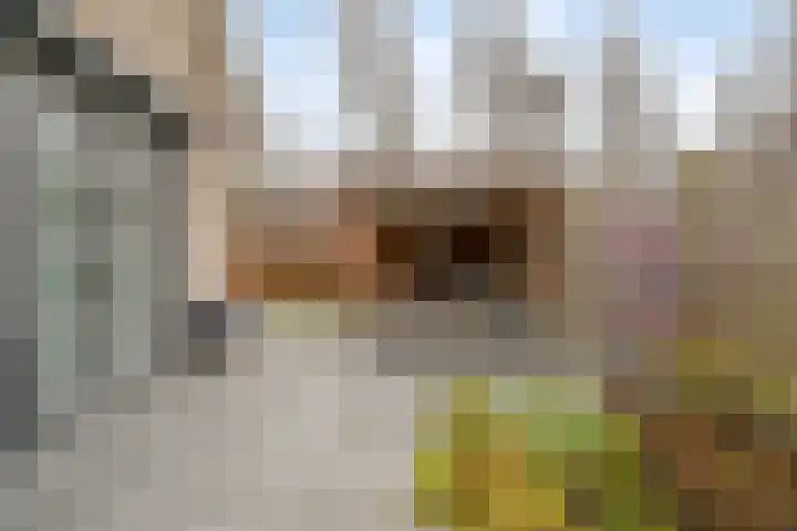Beekweide 13 a Renswoude thumbnail 29