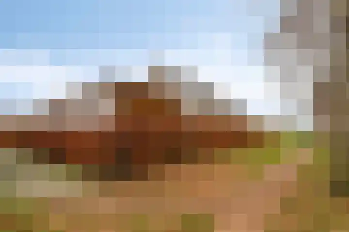 Beekweide 13 a Renswoude thumbnail 31
