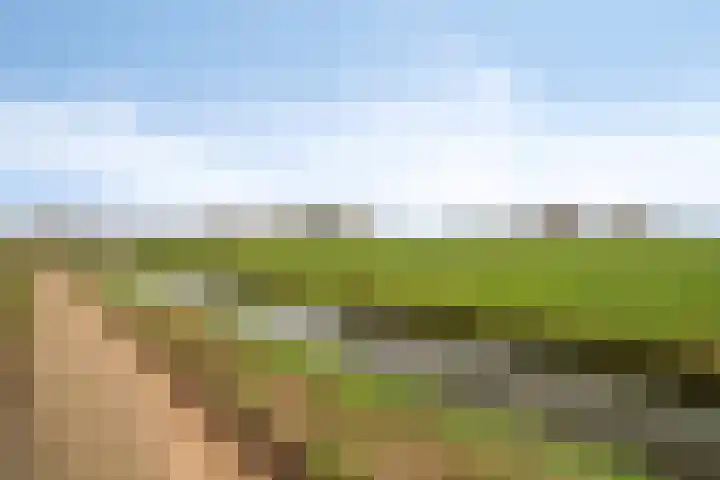 Beekweide 13 a Renswoude thumbnail 33