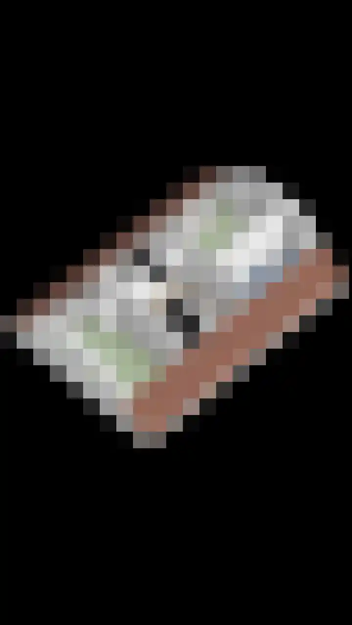 Beekweide 13 a Renswoude thumbnail 42