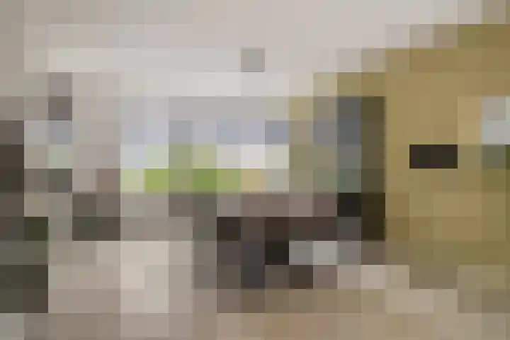 Beekweide 13 a Renswoude thumbnail 7