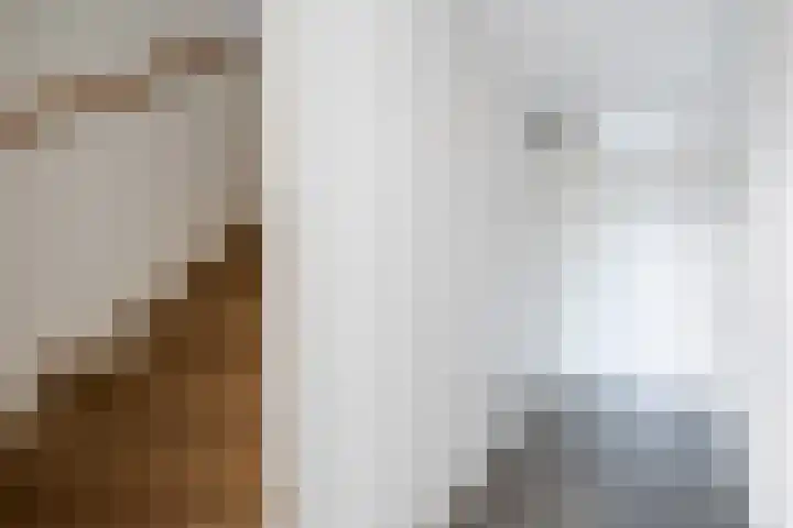 Beekweide 17 Renswoude thumbnail 18