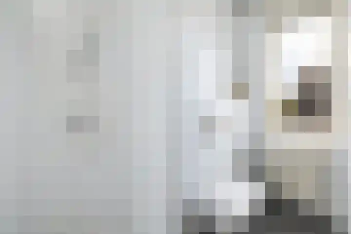 Beekweide 17 Renswoude thumbnail 24