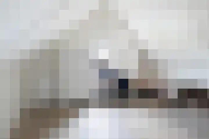 Beekweide 17 Renswoude thumbnail 30