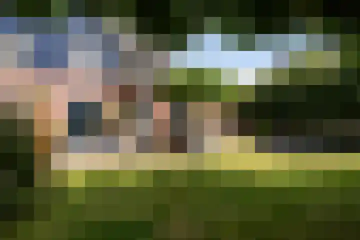 Beekweide 17 Renswoude thumbnail 33