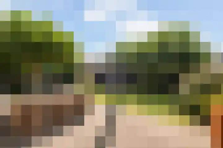 Beekweide 17 Renswoude thumbnail 34