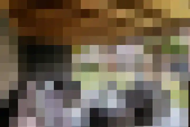 Beekweide 17 Renswoude thumbnail 37