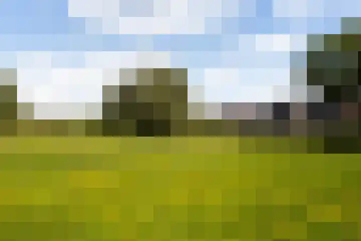 Beekweide 17 Renswoude thumbnail 40