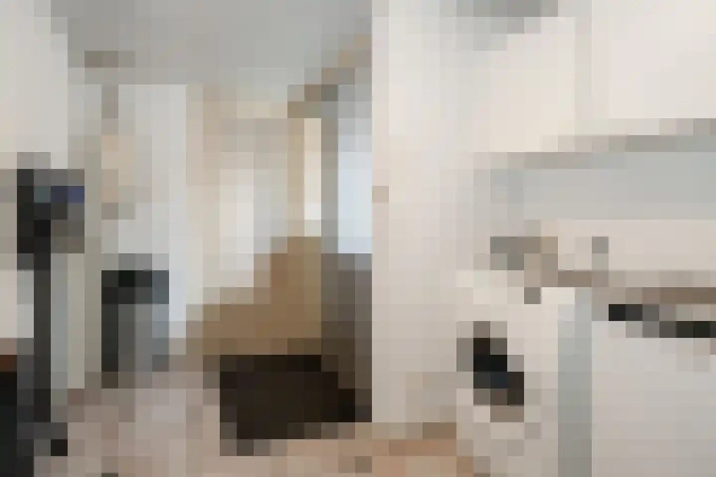 Beekweide 4 Epe thumbnail 11