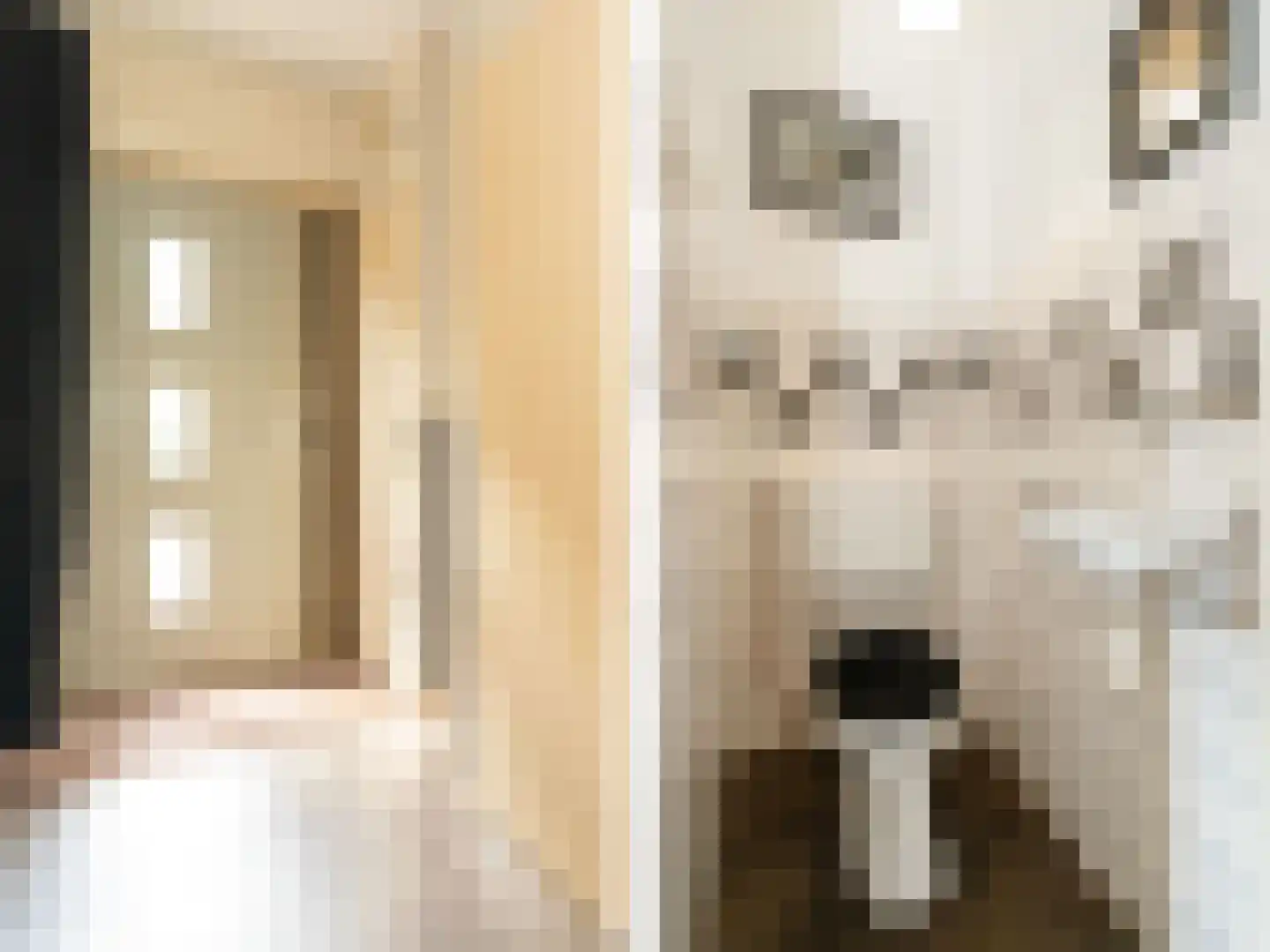 Beekweide 4 Epe thumbnail 12