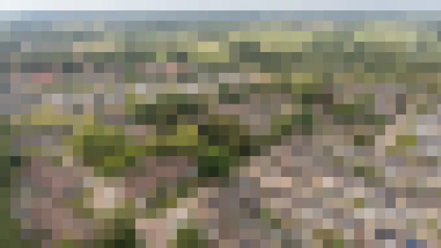 Beekweide 4 Epe thumbnail 30