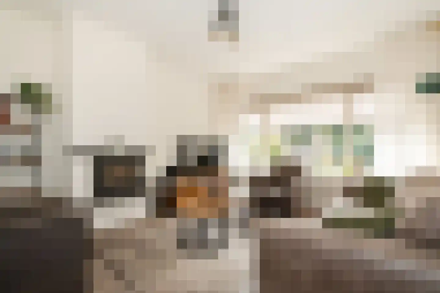Beekweide 4 Epe thumbnail 4