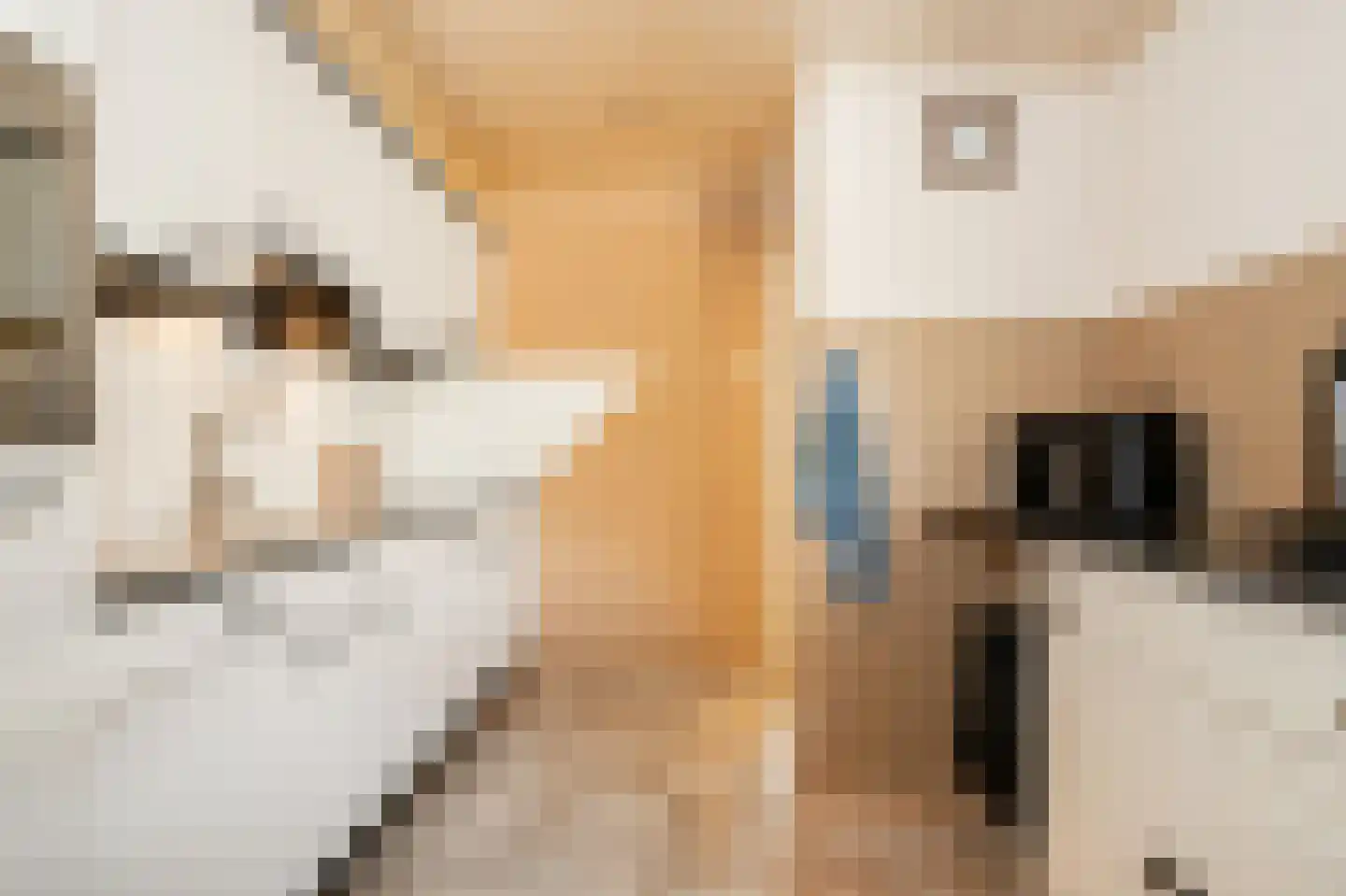 Beekweide 4 Epe thumbnail 8