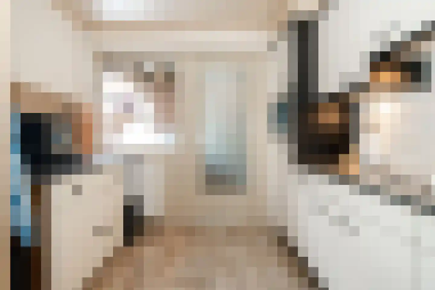 Beekweide 4 Epe thumbnail 9