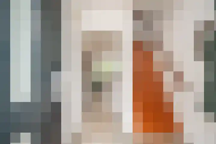 Beekweide 51 Epe thumbnail 11
