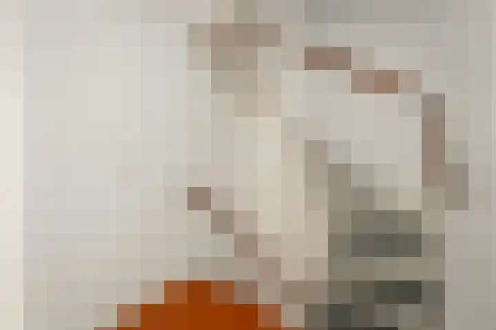 Beekweide 51 Epe thumbnail 12